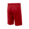 Pantalón corto Nike Selección de España Limited Road 2024 Niño
