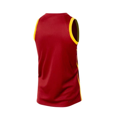 Camisola Seleção de Espanha Limited Road 2024 Criança
