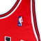 Camiseta Mitchell & Ness NBA Authentic Road Finals Jersey Chicago Bulls - Michael Jordan 1995-96