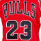 Camiseta Mitchell & Ness NBA Authentic Road Finals Jersey Chicago Bulls - Michael Jordan 1995-96