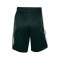 Nike Team Basketball Basketball Emotion Club Shorts