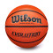 Wilson Evolution Basketball Ball