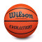 Ballon Wilson Evolution Basketball