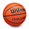 Balón Wilson Evolution Basketball