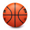 Pallone Wilson Evolution Basketball