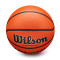 Ballon Wilson Evolution Basketball