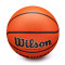 Wilson Evolution Basketball Ball