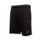 Meteora Short Essential Shorts