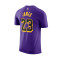 Camiseta Jordan Los Angeles Lakers Essential Statement Edition Lebron James Niño