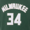 Tenue Nike Enfants Milwaukee Bucks Icon Réplique - Giannis Antetokounmpo