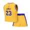 Completo Nike Los Angeles Lakers Icon Replica - Lebron James per Neonati