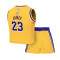 Conjunto Nike Los Angeles Lakers Icon Replica - Lebron James Bebé