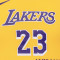 Conjunto Nike Los Angeles Lakers Icon Replica - Lebron James Bebé