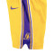 Conjunto Nike Los Angeles Lakers Icon Replica - Lebron James Bebé