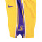 Completo Nike Los Angeles Lakers Icon Replica - Lebron James per Neonati