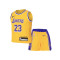 Conjunto Nike Los Angeles Lakers Icon Replica - Lebron James Preescolar