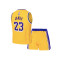Conjunto Nike Los Angeles Lakers Icon Replica - Lebron James Criança