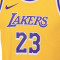 Tenue Nike Enfants Los Angeles Lakers Icon Réplique - Lebron James