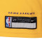 Conjunto Nike Los Angeles Lakers Icon Replica - Lebron James Preescolar