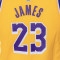 Completo Nike Los Angeles Lakers Icon Replica - Lebron James per bambini
