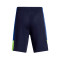 Pantalón corto Under Armour Baseline Niño