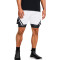 Pantalón corto Under Armour Curry Mesh