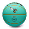 Balón Wilson Charlotte Hornets City Edition 2024-2025