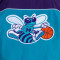 Mitchell & Ness NBA Authentic Warm Up Charlotte Hornets 96-97 Jacket