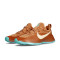 Zapatillas Nike Lebron TR1