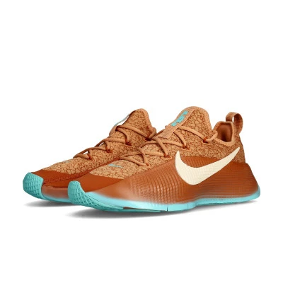 Chaussure Lebron TR1