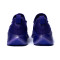 Zapatillas Nike Lebron TR1