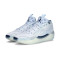 Zapatillas Jordan Air Jordan 39 University