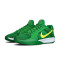 Nike Women's Sabrina 2 Oregon Basketball Shoes