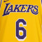 Nike Los Angeles Lakers Swingman Jersey - Lebron James 6 T-Shirt