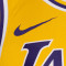 Nike Los Angeles Lakers Swingman Jersey - Lebron James 6 T-Shirt