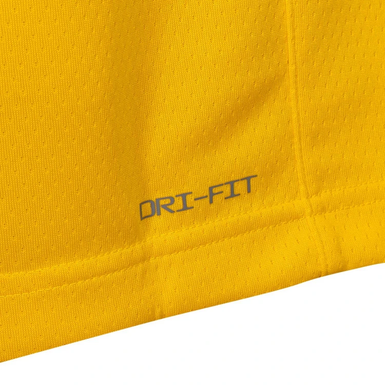 camiseta-nike-los-angeles-lakers-swingman-jersey-lebron-james-6-amarillo-7