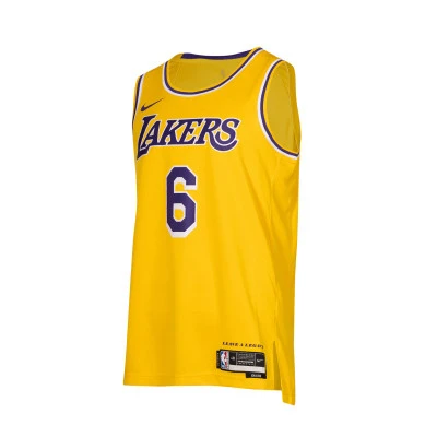 Los Angeles Lakers Swingman Jersey - Lebron James 6 T-Shirt