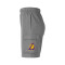 Nike Cargo Los Angeles Lakers Club Courtside Shorts