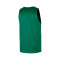 Nike Boston Celtics Mesh Practice Courtside T-Shirt