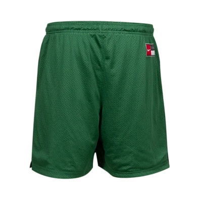 Boston Celtics Mesh Übungsplatz Wendbar Shorts