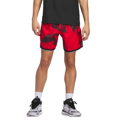 Crazylite Aop 2 Shorts