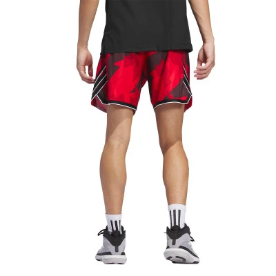 Pantalón corto Crazylite Aop 2