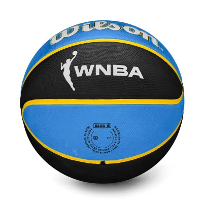 WNBA Team Tribute Basket Chicago Sky Ball