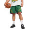Puma Reversible Hoops X Ninja Turtles  Shorts