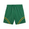 Puma Reversible Hoops X Ninja Turtles  Shorts