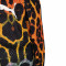 Puma Melo Alien Skins Shorts