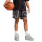 Puma Hoops X LaFrancé Written In Chrome Shorts