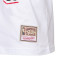 Mitchell & Ness Chalked UP Toronto Raptors T-Shirt