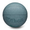 Balón Wilson NBA DRV Pro