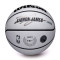 Balón Wilson NBA Player Icon UV Lebron James